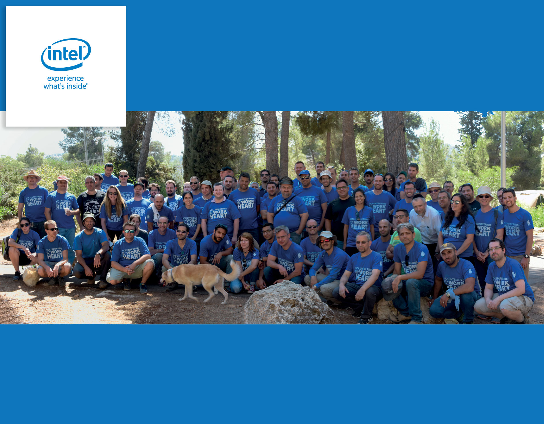 Employees Volunteering to Make a Difference in the Community