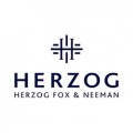  Herzog Fox & Neeman